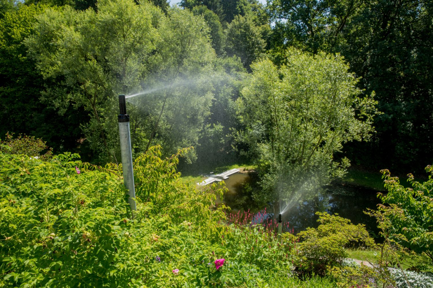 Gartensprenger für einen üppig wachsenden Garten