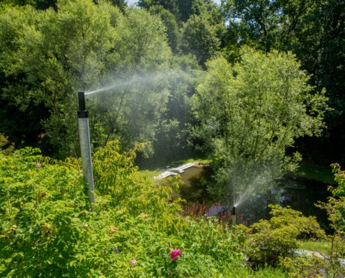 Gartensprenger für einen üppig wachsenden Garten