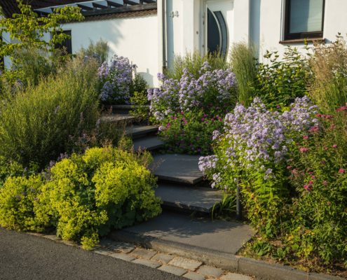 Vorgarten mit scheinbar schwebender Treppe und üppiger Bepflanzung
