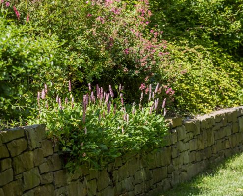Natursteinmauer und dicht bepflanztes Beet
