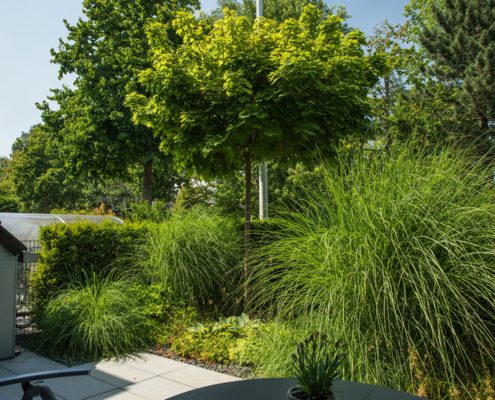 hochwachsende Gräser in einem Gartenbeet