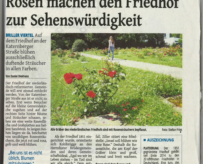 Presseartikel in der Westdeutschen Zeitung