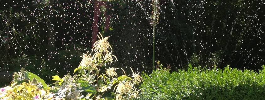 Automatische Gartenbewässerung