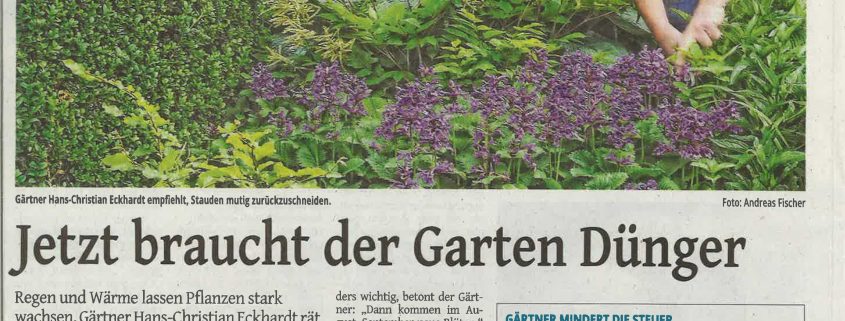 Westdeutsche Zeitung: Jetzt braucht der Garten Dünger