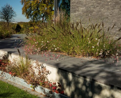 Gartenterrasse mit Bepflanzung