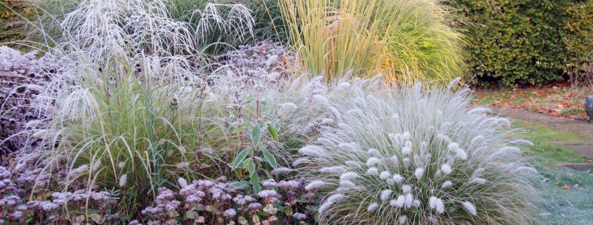 Mit einer guten Planung überzeugt auch der winterliche Garten