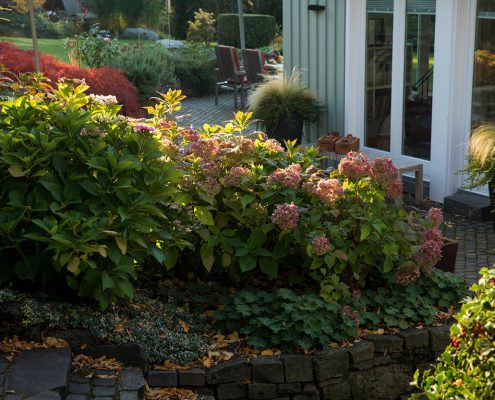 Terrasse Gartenbepflanzung