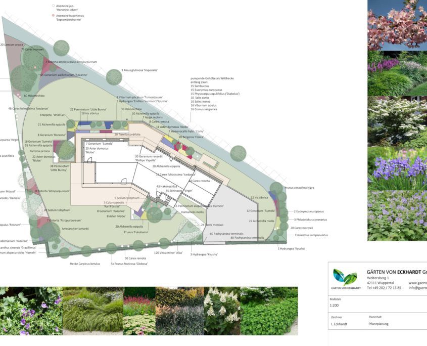 Pflanzplanung Gärten von Eckhardt GmbH & Co. KG