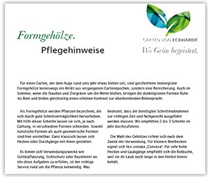 Formgehölze im Garten Pflegehinweise