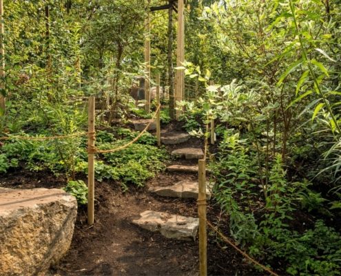 Ein schmaler Naturpfad mit Steinstufen