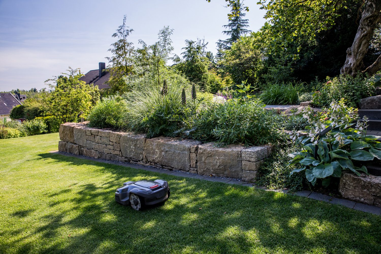 Rasenroboter im Garten vor einer Steinmauer mit Staudenbeet