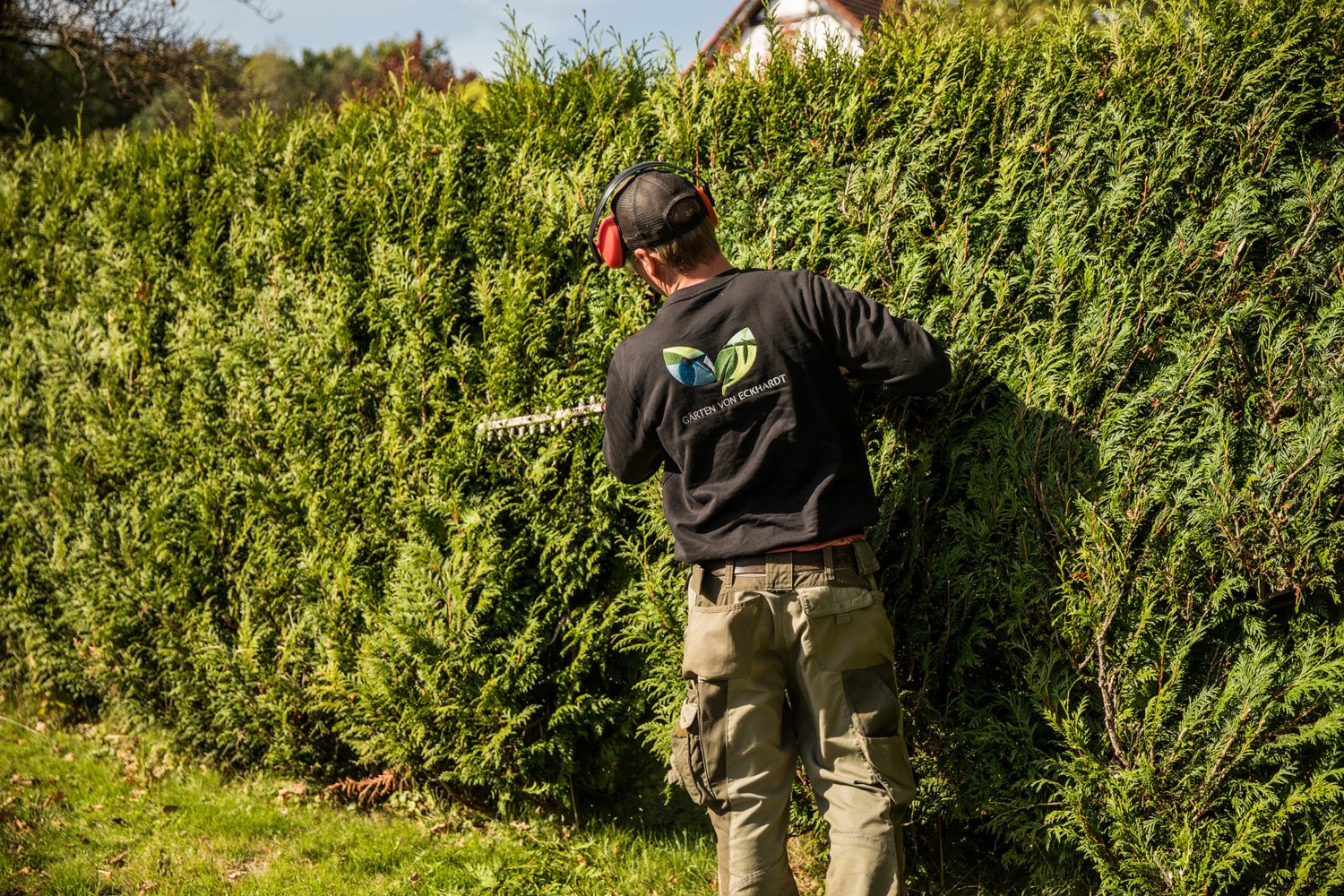 Mitarbeiter schneidet eine Hecke mit der Heckenschere