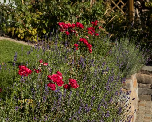 Gartenbepflanzung im Hanggarten Natursteinwand