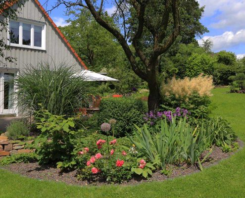 Obstbaum und Pflanzenbeet