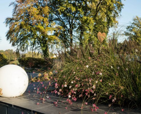 Leuchtkugel, Bepflanzung im Garten