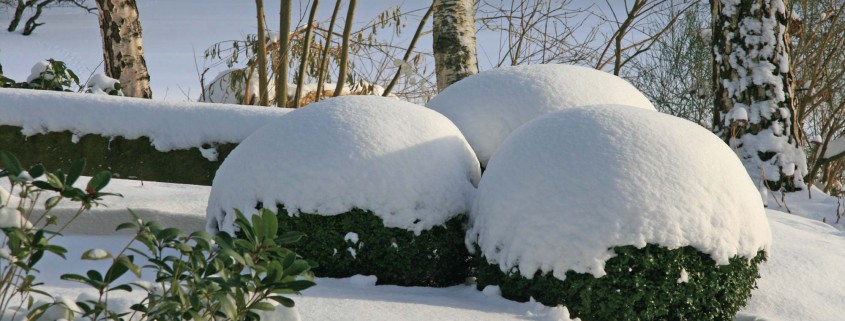 Gartenpflege im Winter